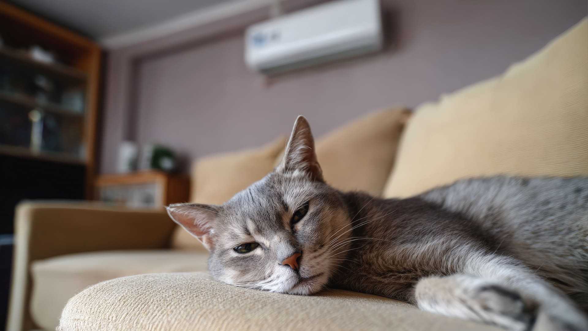 Alterações climáticas porque o ar condicionado deixou de ser um luxo e passou a ser uma necessidade